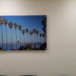 Palm tree photograph Direct print to Acrylic Print