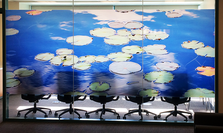 Custom Window Graphics - Lilypad pond close-up printed on translucent window cling with light shining through creating stained glass effect on Conference Room interior windows for Rady Childrens, image from Henry Domke