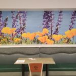 wall mural of orange poppies and violet spires of salvia on hospital cafe wall