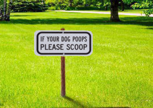 Lawn Sign please scoop after your pet